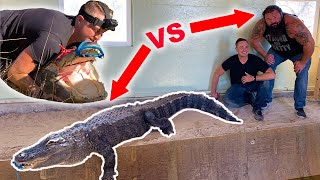 Moving My 500 Lb Alligator With The Worlds Strongest Man