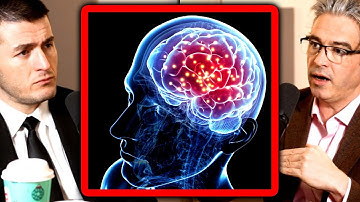 Intelligence requires a biological brain | Lee Cronin and Lex Fridman