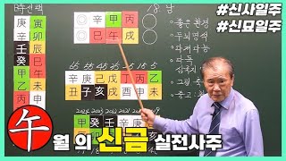 [중급] 209강 오(午)월의 신금 실전사주