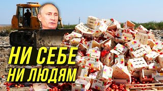 🔔Бульдозер Против Голодных Россиян/В Нищей Стране Давят Еду/Сыр Рубят - Дырки Летят