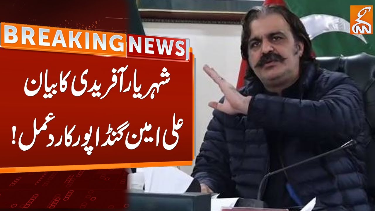 Ali Amin Reaction on Shehryar Afridi Statement | Breaking News | GNN ...