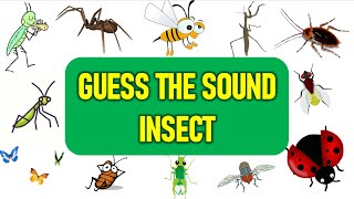 Can You Guess the Insect Sound? | Bug Sounds | Test Your Nature IQ!