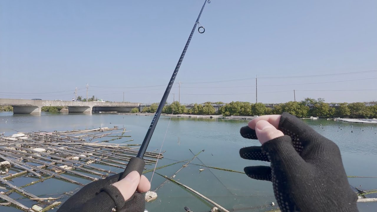 新竿勇闖台南路亞聖地   #路亞 #fishing #lurefishing #釣り #根魚 #台南 #shimano #釣魚 #紅槽  #牛尾 #蚵棚 #黑格 #黑鯛 #daiwa #米諾