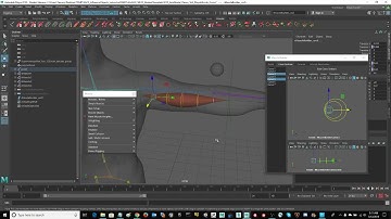 VideoTutorial 6 MayaMuscleAlt