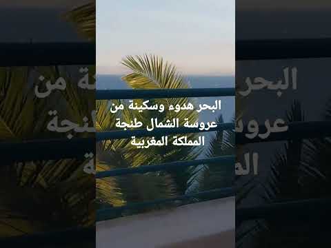 المدينة التي تحتضن إفتتاح كأس العالم للأندية مرحبا بريال مدريد والاهلي وجميع الفرق