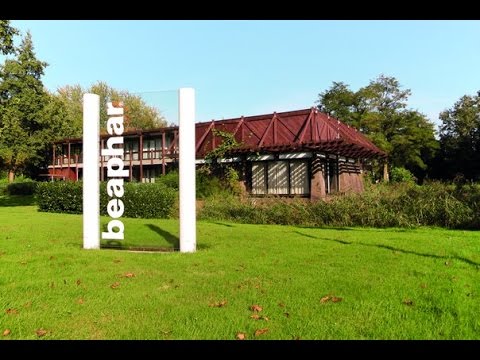 О производителе Beaphar (Беафар)