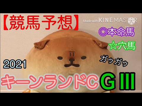 キーンランドカップ2021【競馬予想】参考レース前追い切りで本命馬と穴馬結論！過去レース結果