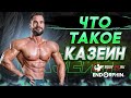 Что такое Казеин? Казеин в Спорте.