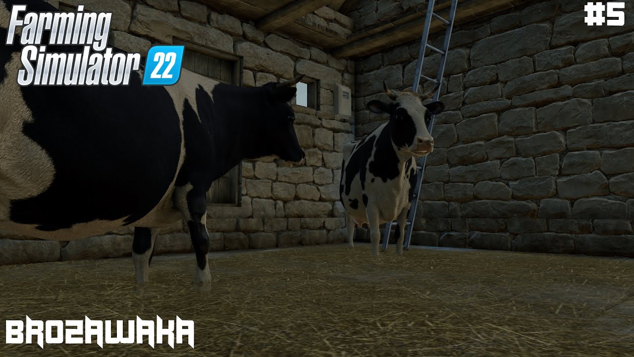 Buying cows and cutting grass Brzozowka Timelapse5 Farming