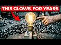 The 4 Light Bulbs That Actually Last (Why Brands Hate Them)