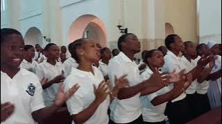 HAYA TWENDENI WOTE KULE BETHLEHEM TUKAMWONE MKOMBOZI X VIPAJI VYETU - St.Benedict Ndanda Cohas Choir