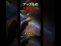 Appleの大胆なミス