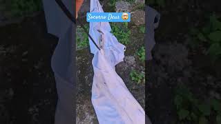 Arrebentou O Varal Com A Roupa Branca