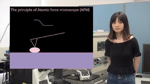 In vivo dynamics of the cortical actin network revealed by fast-scanning atomic force microscopy