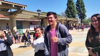 BAEnana Sadies Proposal