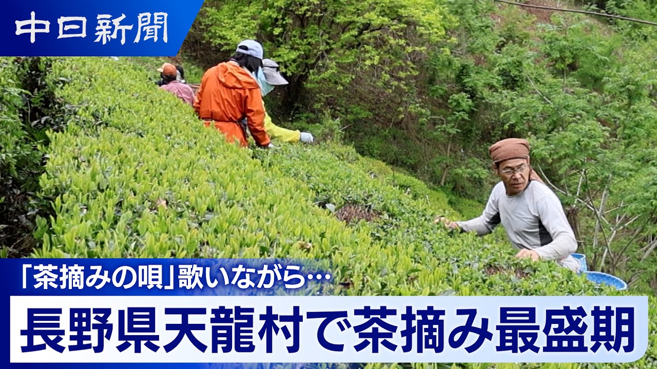 茶の湯と音楽 茶の湯と音楽つれづれ～一路庵日記～ – 一服のお茶に 心をこめて