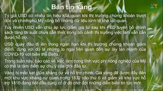 Bản tin sáng và chiến lược giao dịch ngày 2-8-2021