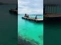 Excavator Working on a Barge in the Ocean 🌊 #ViralShorts #Excavator #BargeLife #Ocean #Construction