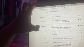 Brain quizlet