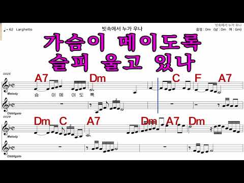 빗속에서누가우나  남 진     가수처럼 엠알로  악보  노래 하기   남  원키  Dm