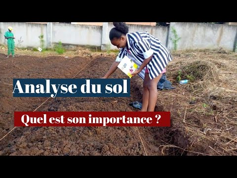 Vidéo: Quelle est l'importance du sol dans la vie humaine?