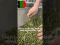 leaves grinding machine/ leaf grinder/ air classifier mill