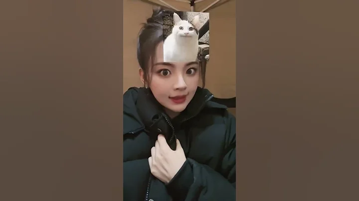 #模仿猫猫大挑战 🐱本🐱 Imitate the cat challenge 杨超越Yang Chaoyue - 天天要闻