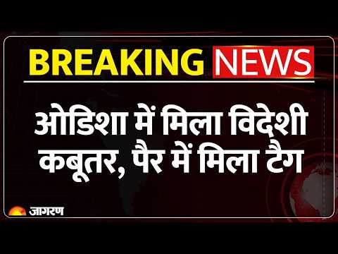 Odisha में मिला Foreign Tag वाला कबूतर, 'BAN-2024' ने बढ़ाई हलचल | Bangladesh Connection की जांच