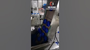 Automatic big diameter plastic cap feeding bottle capping machine with cap sorting system