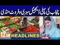Big Relief For Public By Maryam Nawaz | Imp Decision | 12AM News Headlines | 11 Jan 2026 | City 42