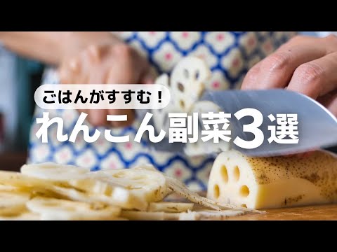 【ごはん泥棒】やみつき食感！パパッと作れて美味しいれんこんレシピ