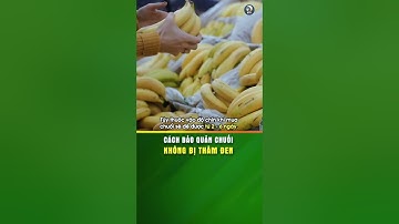 Cách bảo quản chuối không bị thâm đen - KHOẺ TỰ NHIÊN