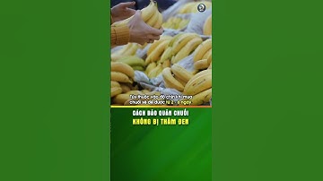 Cách bảo quản chuối không bị thâm đen - KHOẺ TỰ NHIÊN