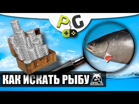 Видео: Русская Рыбалка 4 - Как искать рыбу, гайд для новичков