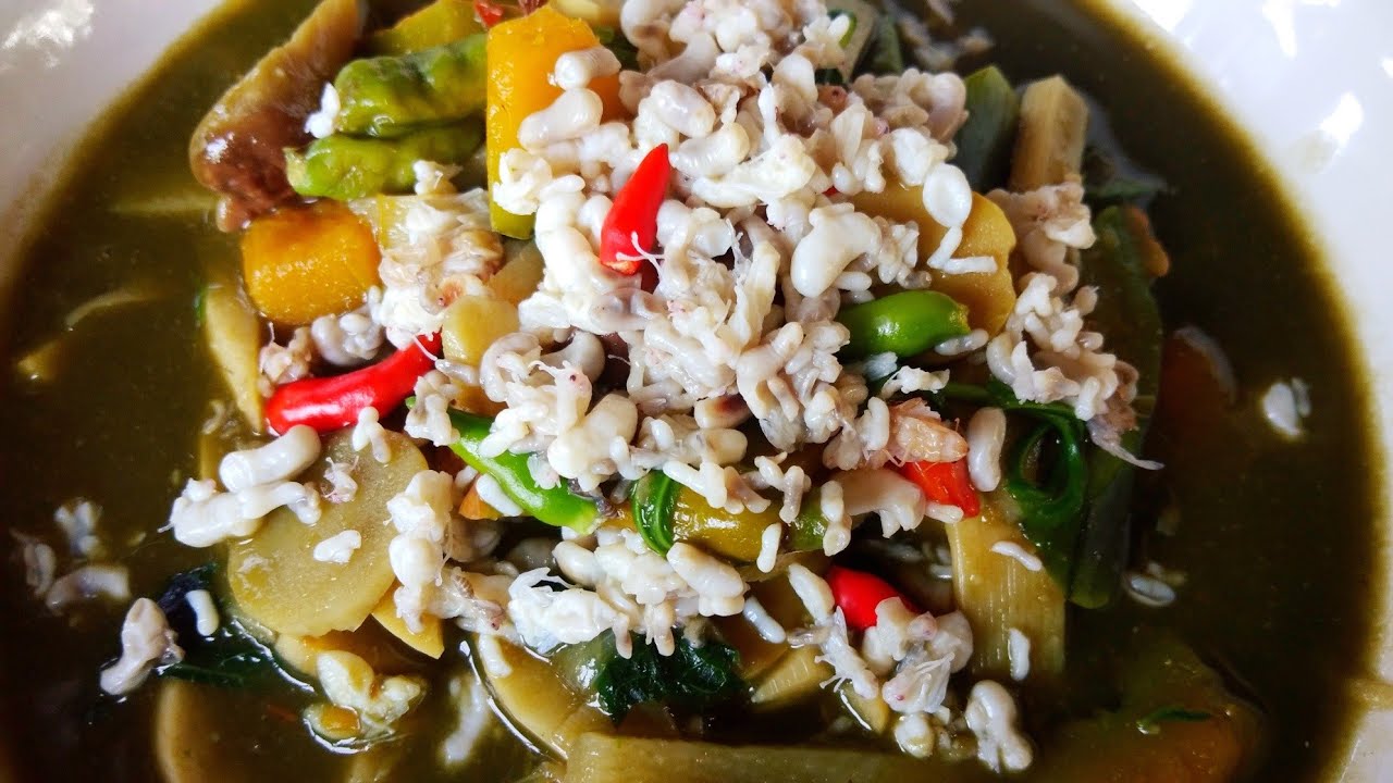 Bamboo shoots curry with Ant eggs แกงหน่อไม้ใส่ไข่มดแดง YouTube