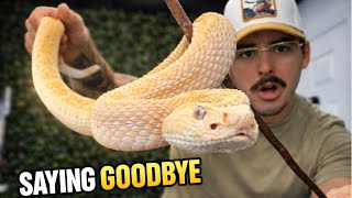 I Had To Get Rid Of My Exotic Reptiles?