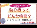 教科書をわかりやすく!「狭心症ってどんな病態?」