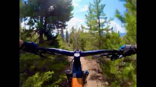 Trail ride Silverthorne, CO