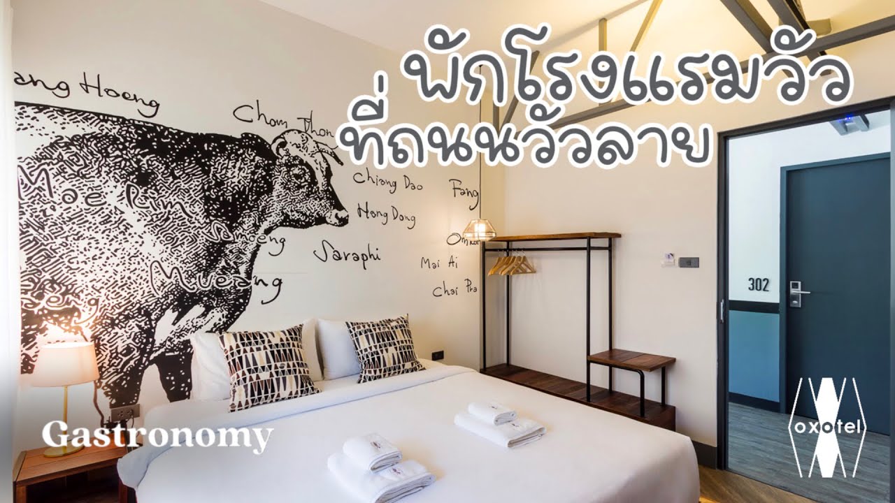 ที่พัก เชียงใหม่ 500  New 2022  พาชมโรงแรมขนาดเล็ก เจ้าของรางวัลด้านการออกแบบ Oxotel | Hotel Chiangmai | โรงแรมเชียงใหม่