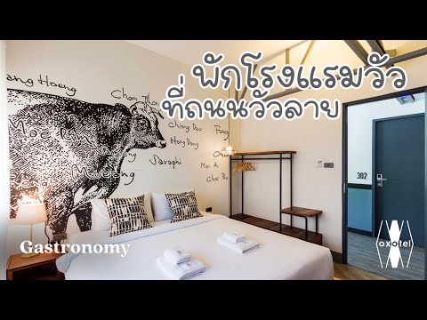 พาชมโรงแรมขนาดเล็ก เจ้าของรางวัลด้านการออกแบบ Oxotel | Hotel Chiangmai | โรงแรมเชียงใหม่