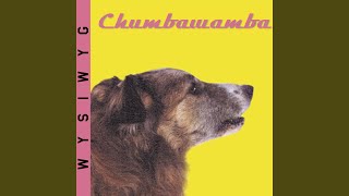 Video-Miniaturansicht von „Chumbawamba - New York Mining Disaster“