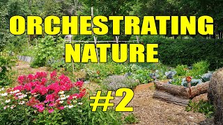 Raised Garden Beds on a Budget | Orchestrating Nature #2