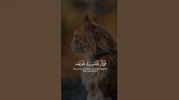 قران كريم مريح للاعصاب #راحة #اكسبلور #muslimcontent #قران_كريم #راحة_نفسية #vairal #المصحف #الرحمن