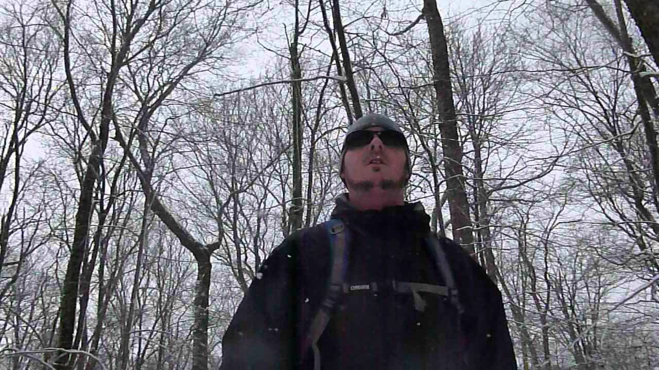 Shavers MTN Trail, West Virginia