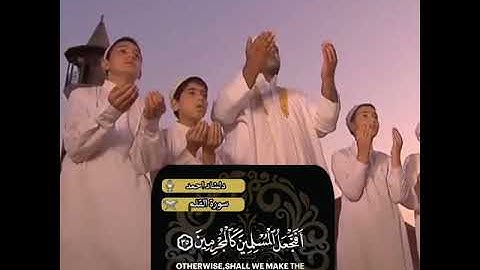 مقطع خاشع من سورة القلم للقارئ دلشاد احمد / مقاطع واتس اب