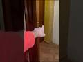 THANOS DI SQUID GAME MI SVEGLIA DI NOTTE E MI PORTA VIA CON LUI! #giox97 #shorts #squidgame #horror