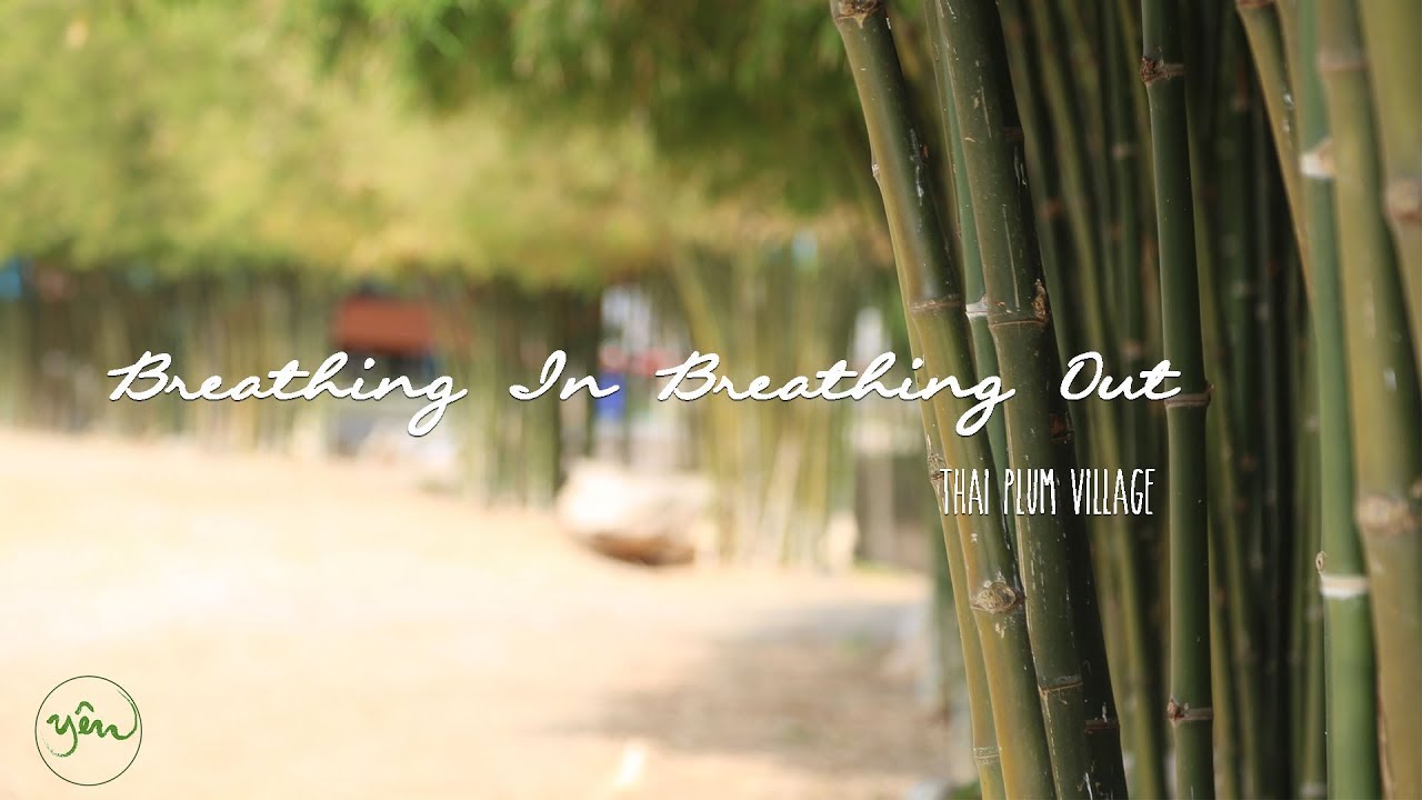 Breathing In Breathing Out || Thai Plum Village