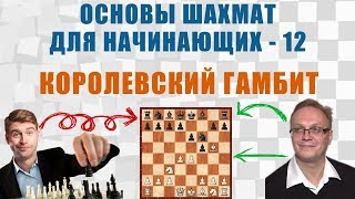 Королевский гамбит. Основы шахмат для начинающих 12. Игорь Немцев Королевский гамбит. Основы шахмат для начинающих 12. Игорь Немцев