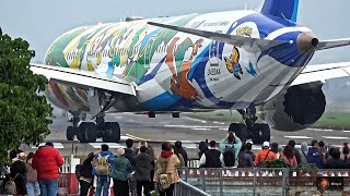 31架次飛機起降 近距離特寫 30min｜臺北松山機場 Plane Spotting TSA/RCSS