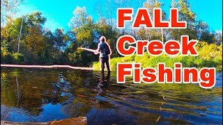 Fall CREEK Fishing The Wissahickon For ANYTHING